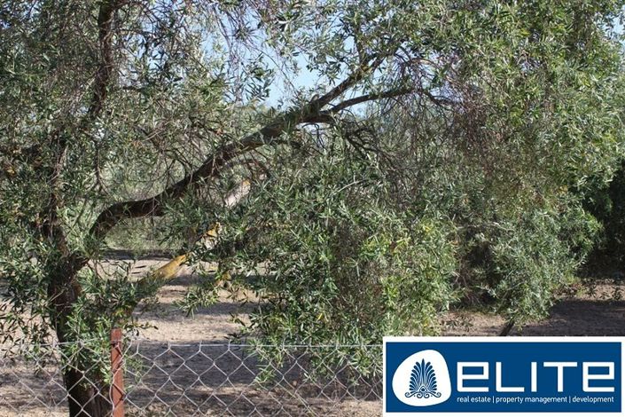 Image No.4-Land for sale