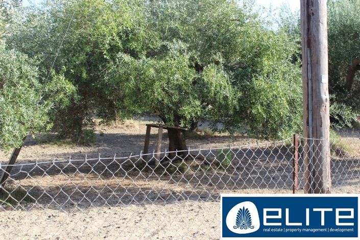 Image No.8-Land for sale
