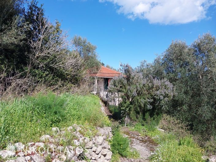 Image No.6-1 Bed House for sale