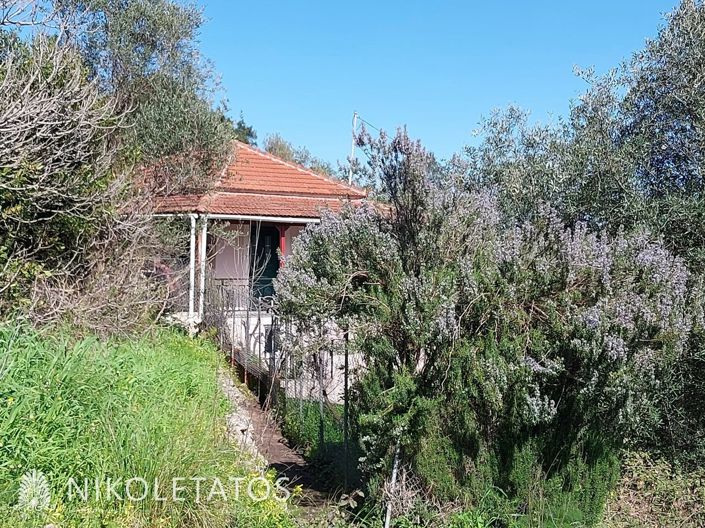 Image No.7-1 Bed House for sale