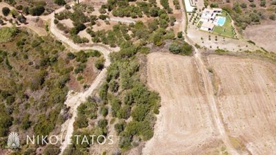e-393472442