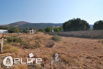 e-1177973241
