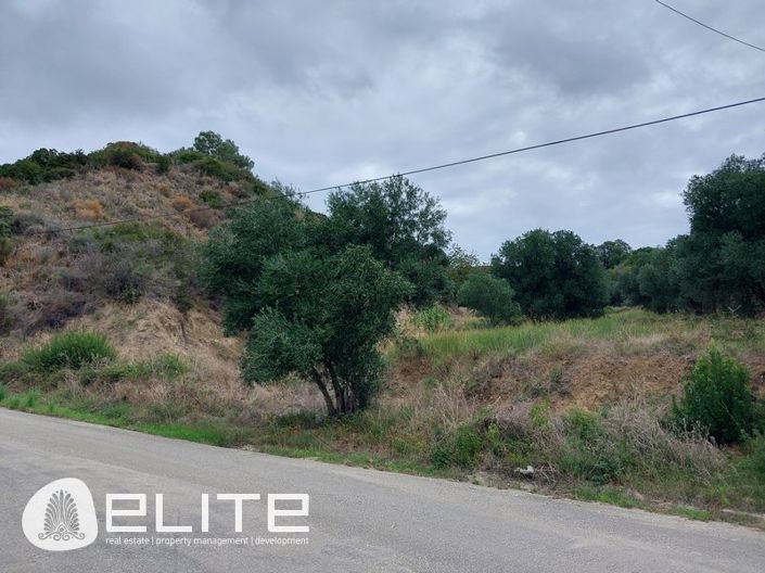 Image No.10-Terrain à vendre à Céphalonie