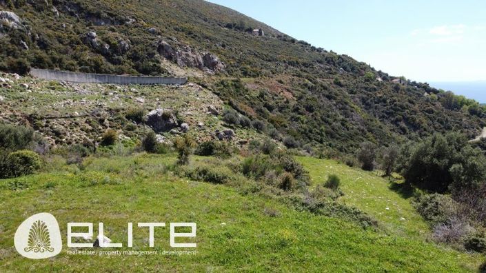 Image No.14-Terre à vendre à Céphalonie