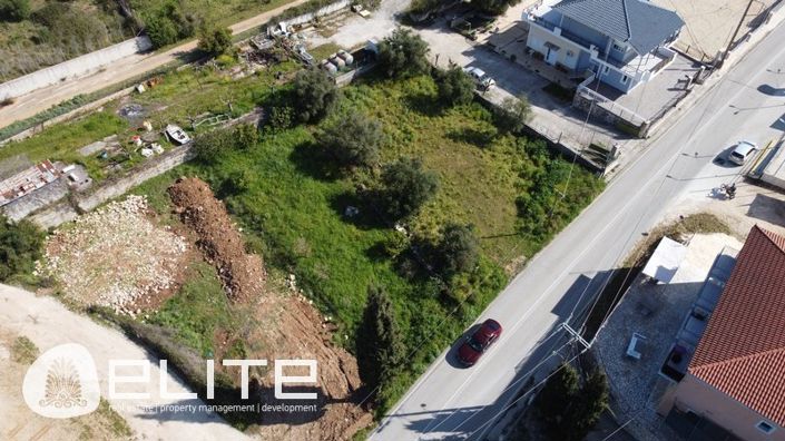 Image No.8-Terre à vendre à Riza