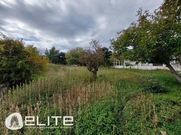 e-1794460524