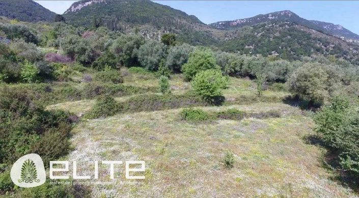 Image No.2-Plot for sale