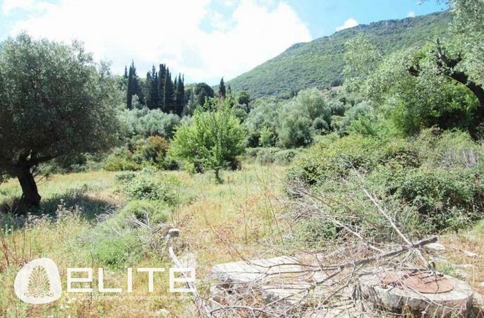 Image No.3-Plot for sale