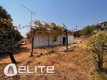 e-1865415948