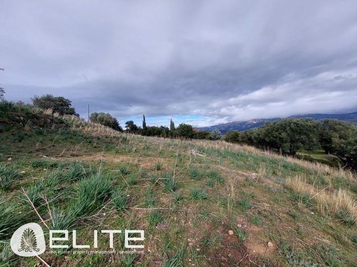 Image No.4-Land for sale