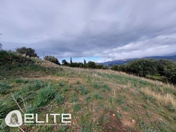 e-1420882503