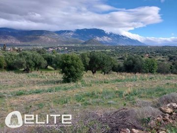 e-1280092938