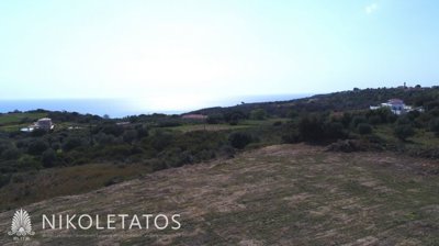 e-2097605882