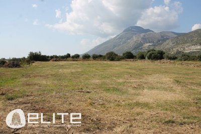 e-252163445