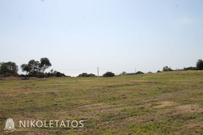 Image No.11-Plot for sale