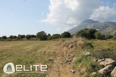 e--1770687129