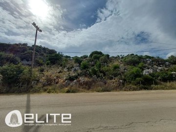 e--941836925