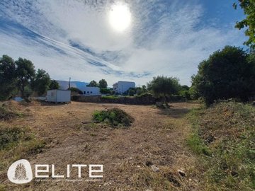 e-866985249