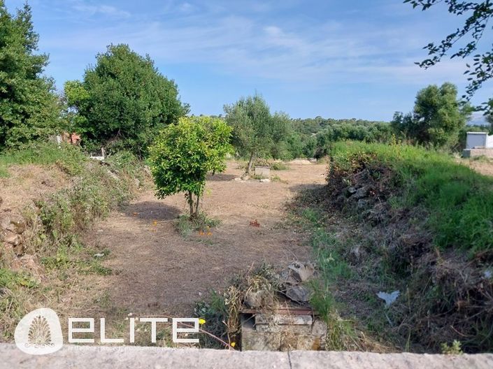 Image No.7-Terre à vendre à Céphalonie