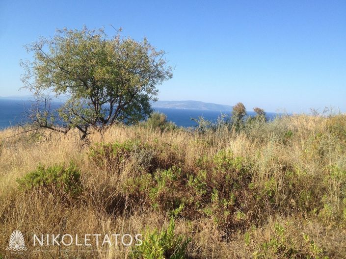 Image No.18-Terre à vendre à Ratzakli