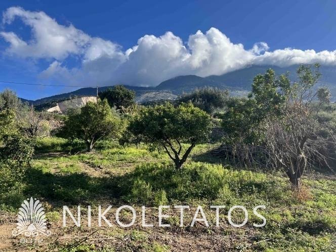 Image No.6-Terre à vendre à Céphalonie