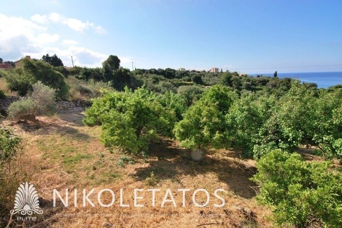 Image No.7-Terre à vendre à Céphalonie