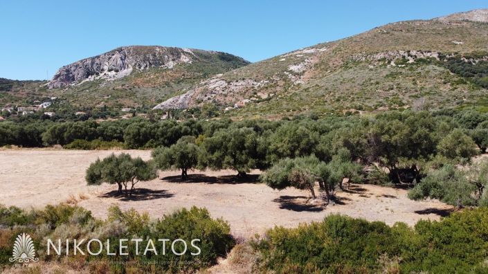 Image No.12-Terrain à vendre à Céphalonie