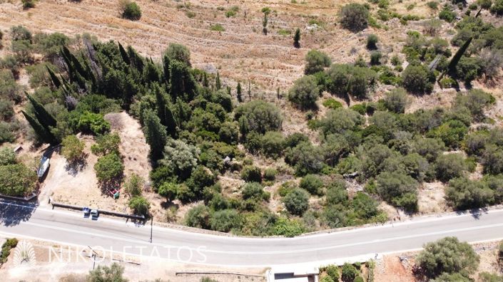 Image No.4-Terre à vendre à Céphalonie