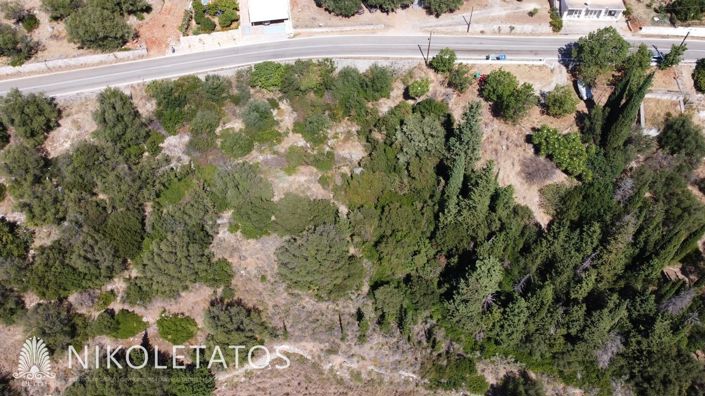 Image No.6-Terre à vendre à Céphalonie