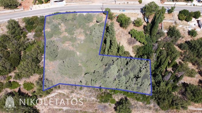 Image No.7-Terre à vendre à Céphalonie