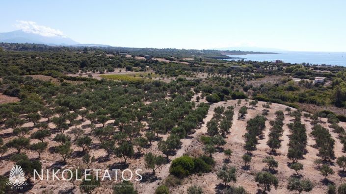 Image No.10-Terrain à vendre à Havriata