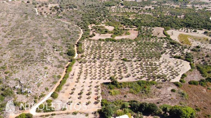 Image No.12-Terrain à vendre à Havriata