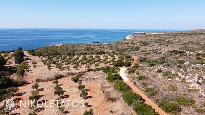 Image No.14-Terrain à vendre à Havriata