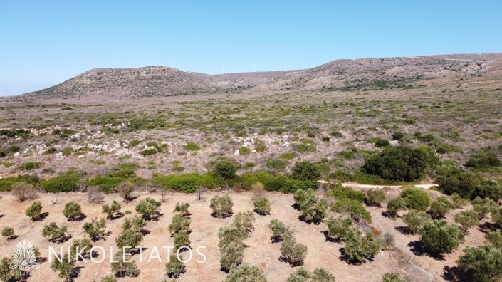 Image No.16-Terrain à vendre à Havriata