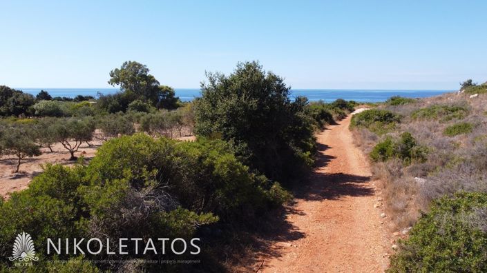 Image No.19-Terrain à vendre à Havriata