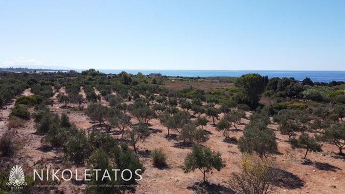 Image No.2-Terrain à vendre à Havriata