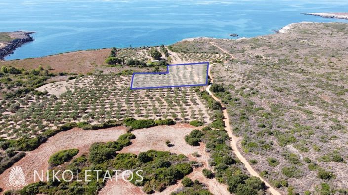 Image No.4-Terrain à vendre à Havriata