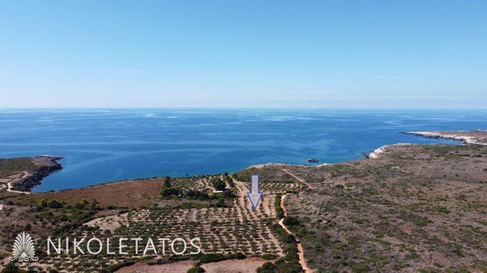 Image No.6-Terrain à vendre à Havriata