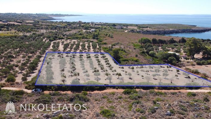 Image No.8-Terrain à vendre à Havriata