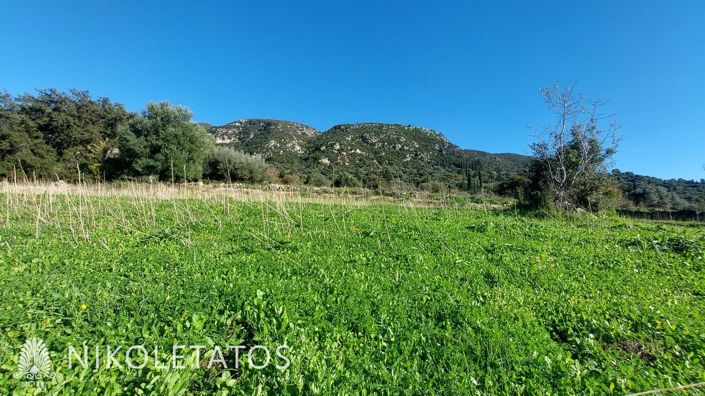 Image No.12-Plot for sale