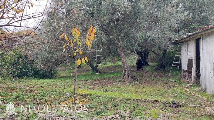 Image No.16-2 Bed House for sale