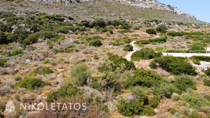 Image No.8-Terrain à vendre à Old Skala