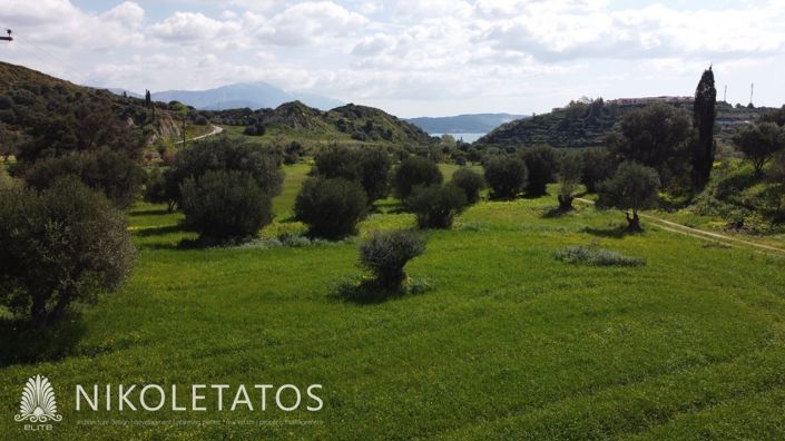 Image No.7-Plot for sale