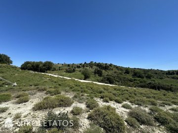 e-267254610
