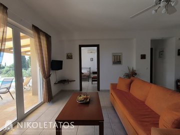 t--22906913