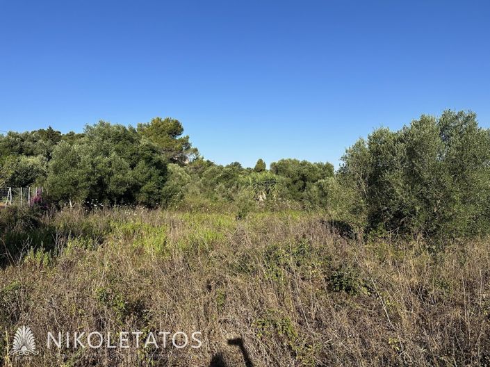 Image No.5-Land for sale