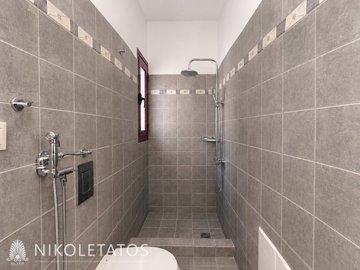 t-241402489
