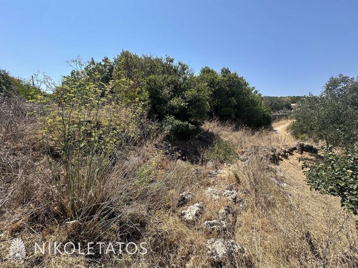 Image No.7-Land for sale