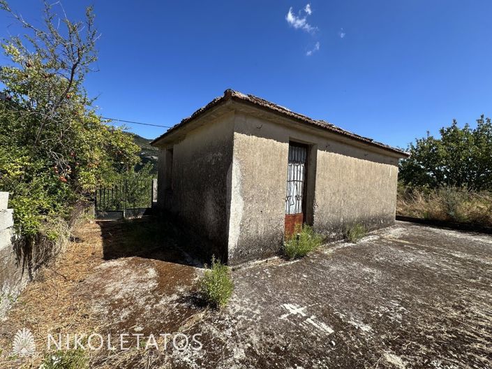 Image No.8-1 Bed House for sale