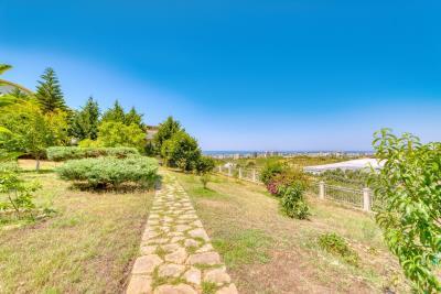 DSCF8107-jpeg-compressed